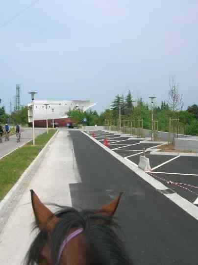 003-area1elettra