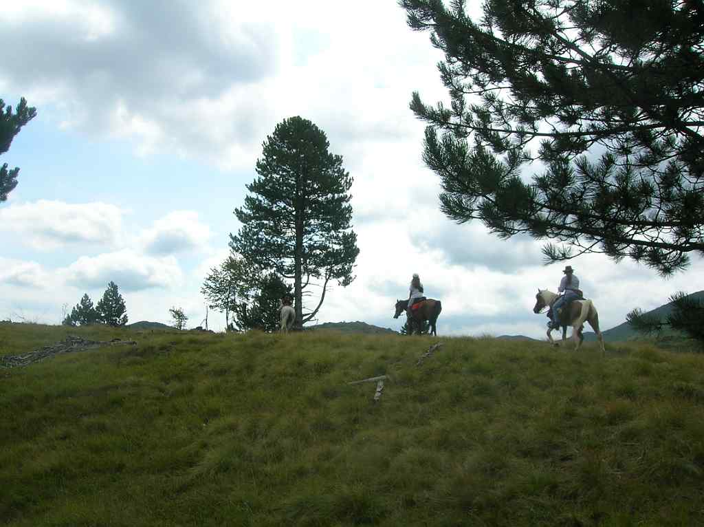 DSCN1742
