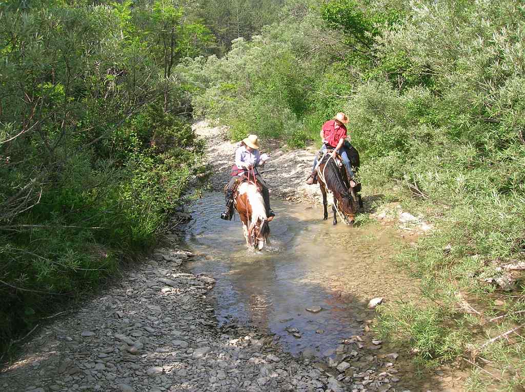 DSCN2189