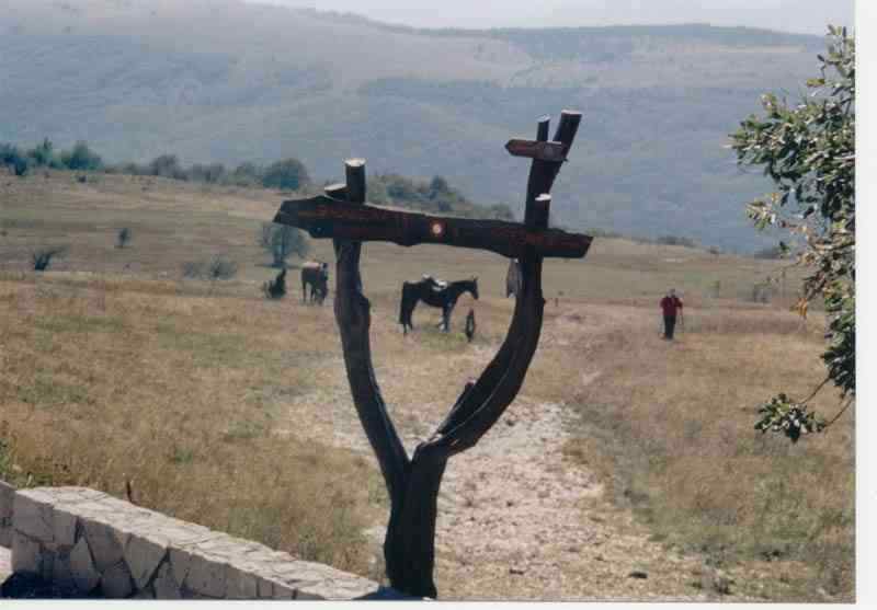 slavnikkazipot