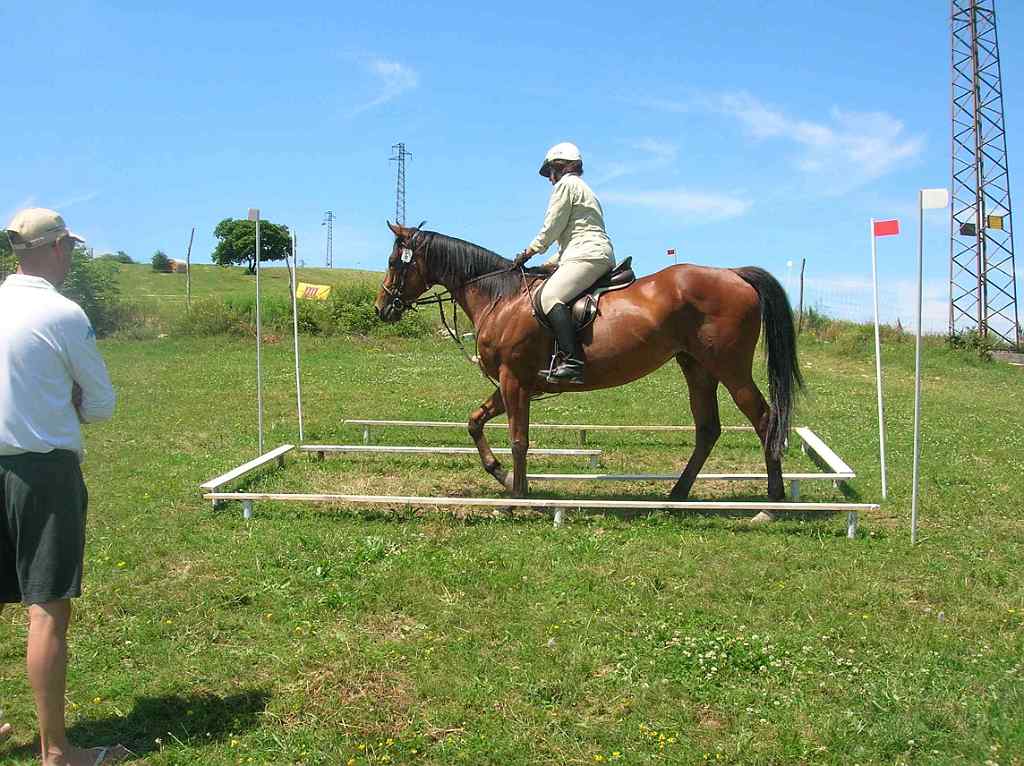 treclabirinto1