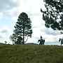 DSCN1742.JPG