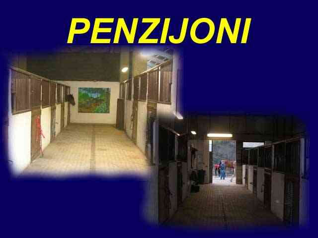 Penzijon za vae konje....